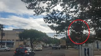Placa de PARE escondida e falta de sinalização horizontal contribuem para acidentes na rua da Bandeira