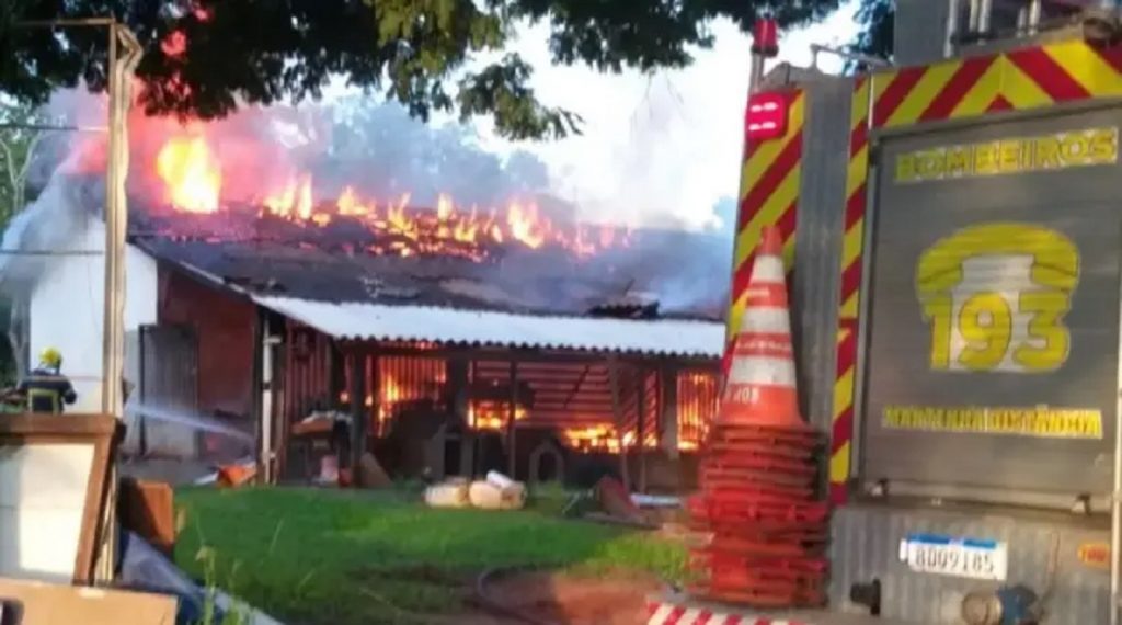 Casa que funcionava como abrigo pega fogo e cerca de 20 animais morrem carbonizados