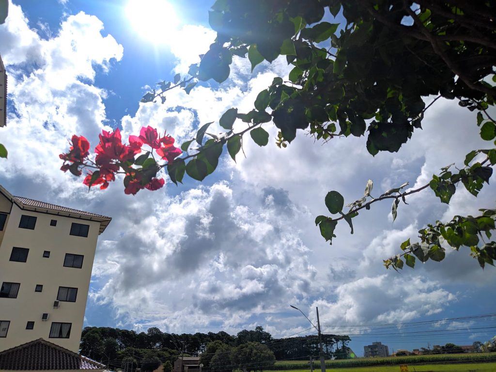 Sábado faz sol com máxima de 26ºC em Cascavel