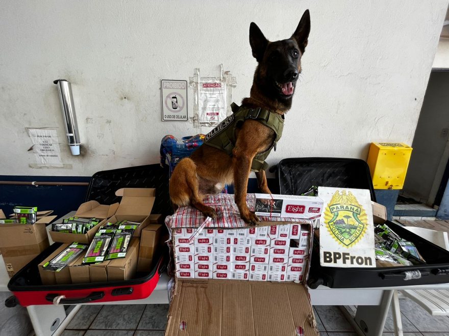 BPFron apreende cigarros contrabandeados na rodoviária de Cascavel