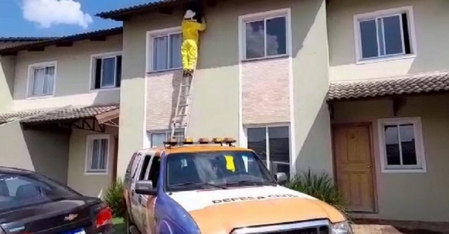 11 colmeias são retiradas pela Defesa Civil em condomínio no Floresta