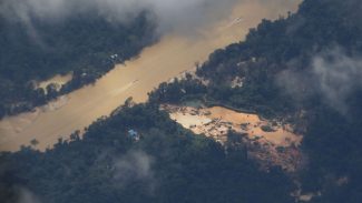 Garimpeiros pedem ajuda ao governo federal para deixar Terra Yanomami