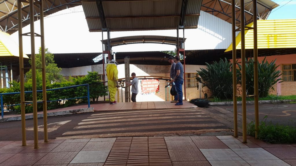 Enxames de vespas e marimbondos são retirados de escola municipal pela Defesa Civil
