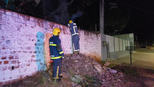 Queima de folhas secas mobiliza Corpo de Bombeiros no bairro Alto Alegre Imagem referente a Queima de folhas secas mobiliza Corpo de Bombeiros no bairro Alto Alegre