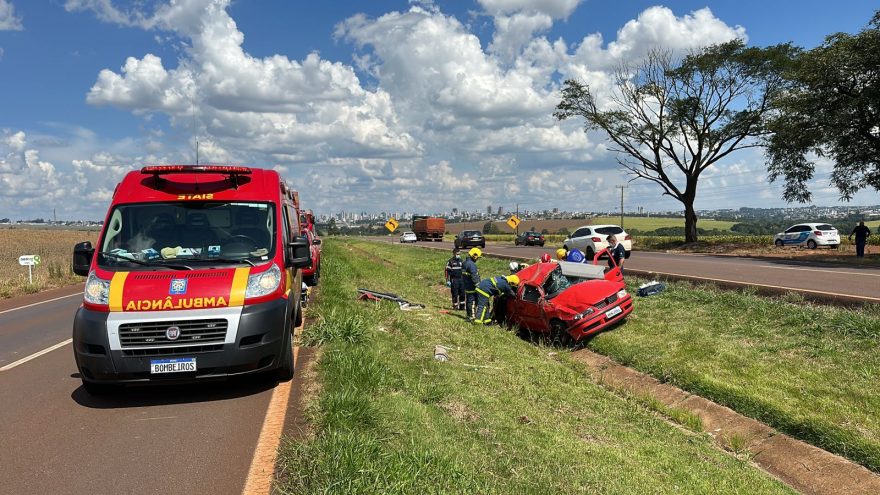 Mulher e cachorrinho ficam feridos em capotamento na BR 467