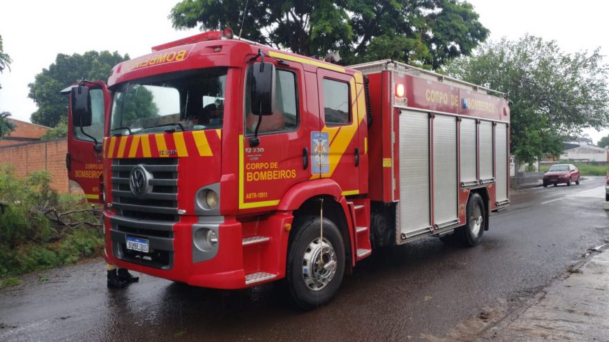 Corpo de Bombeiros é mobilizado para poda de árvore no Esmeralda