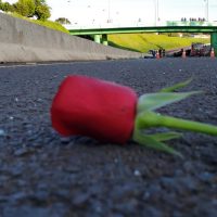 Imagem referente a Secretaria de Comunicação lamenta morte de jornalistas em tragédia na BR-467