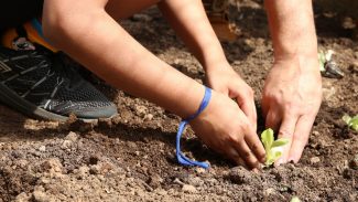 Curso orienta educadores sobre como levar a natureza para as escolas