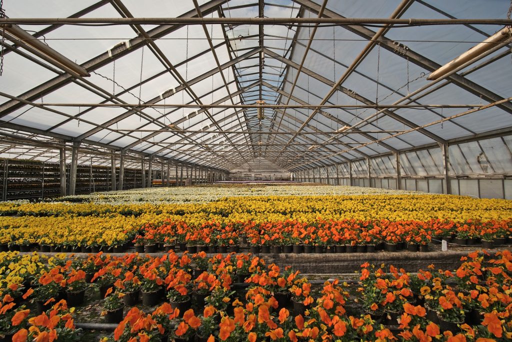 Licitação deve pagar até R$ 42 mil em insumos para o projeto Agroflor da Fundetec Licitação deve pagar até R$ 42 mil em insumos para o projeto Agroflor da Fundetec
