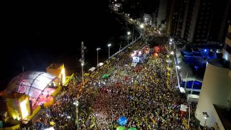 Na Bahia, diretrizes visam proteger trabalho dos cordeiros no carnaval