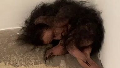 Imagem referente a Será o Chupa-Cabra? vídeo mostra animal bizarro com pelos e unhas afiadas e levanta teorias entre internautas