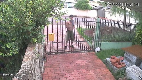 Câmeras de segurança registram homem furtando ferramentas e carrinho na Rua Manaus