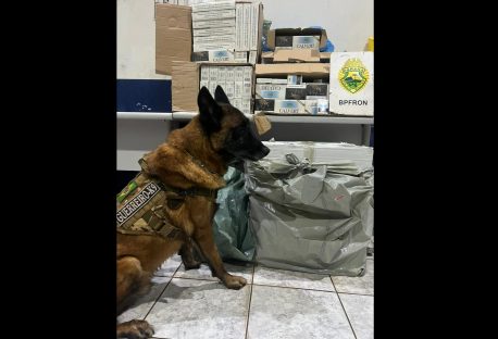 BPFron apreende cigarros contrabandeados em Cascavel