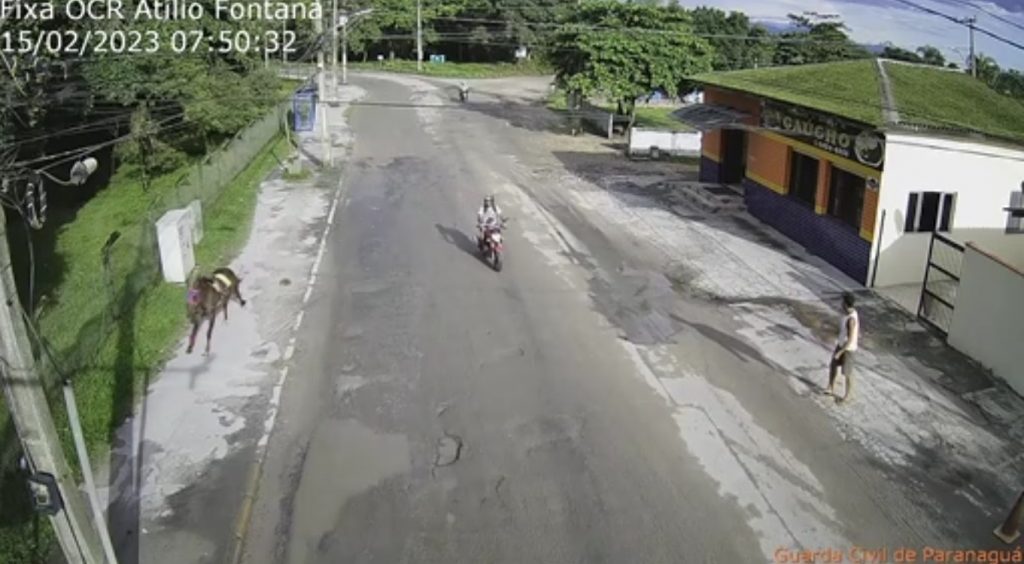 Vídeo: mulher cai e desmaia após ser atropelada por cavalo em fuga Vídeo: mulher cai e desmaia após ser atropelada por cavalo em fuga