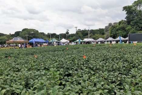 Com apoio do IDR-Paraná, Smart Farm de Londrina reuniu inovações digitais do agronegócio