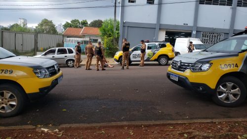 Várias equipes da PM são acionadas ao Parque São Paulo
