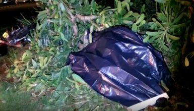 Imagem referente a Motociclista morre após grave acidente de trânsito no Floresta