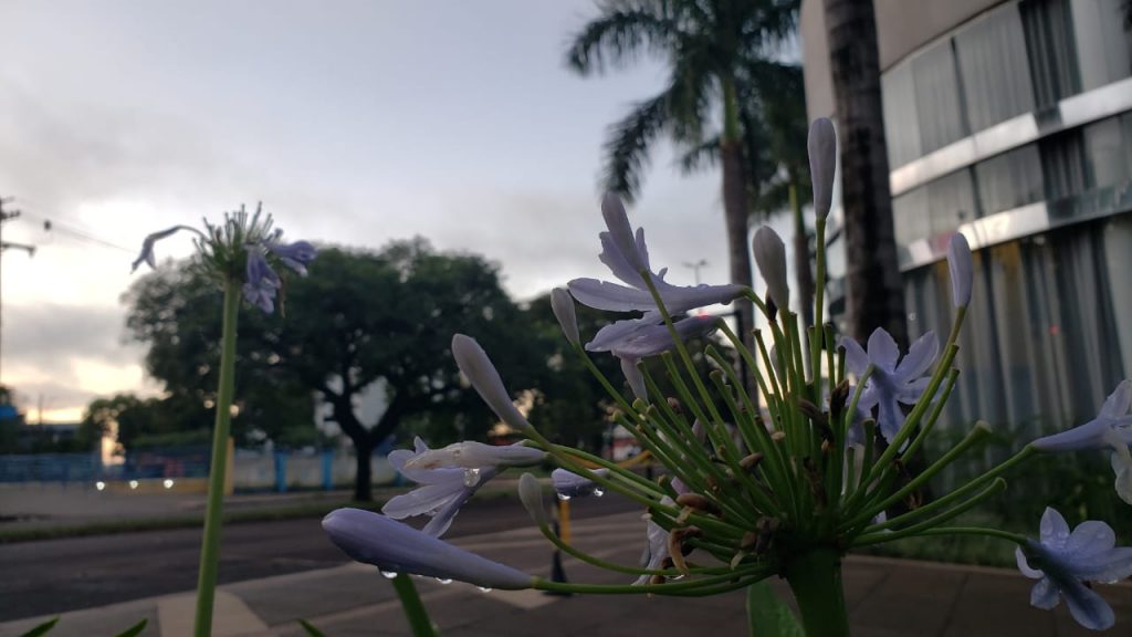Feriado de Carnaval com poucas chances de chuva e máxima de 24°C