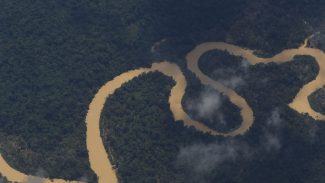 Cimi pede recomposição de comissão que acompanha crise yanomami