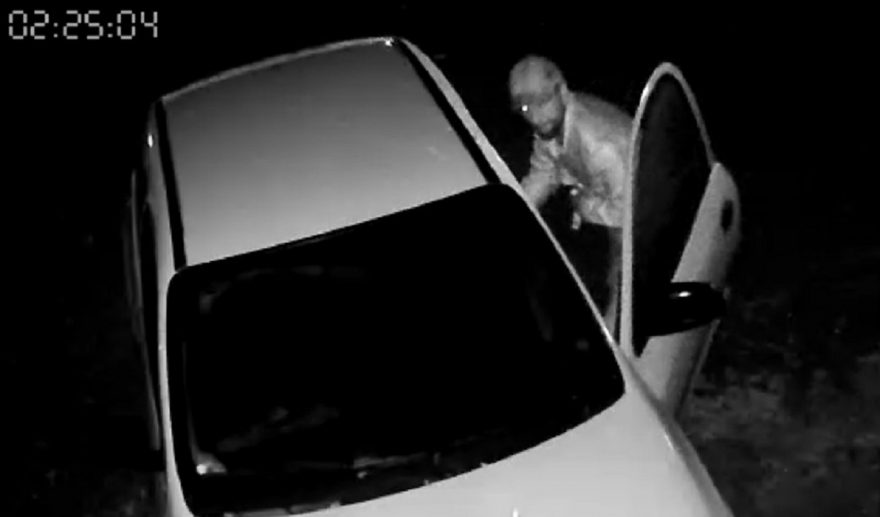 Cadela late e afugenta ladrão no Santo Onofre