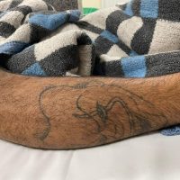 Imagem referente a Jovem que foi baleado no Floresta e morreu no HUOP é identificado como Dheiverson Kauan Barbosa dos Santos, 21 anos