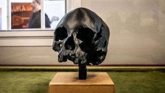 Museu Nacional/UFRJ prevê entrega de biblioteca científica em março