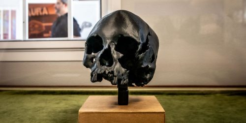 Museu Nacional/UFRJ prevê entrega de biblioteca científica em março Imagem referente a Museu Nacional/UFRJ prevê entrega de biblioteca científica em março