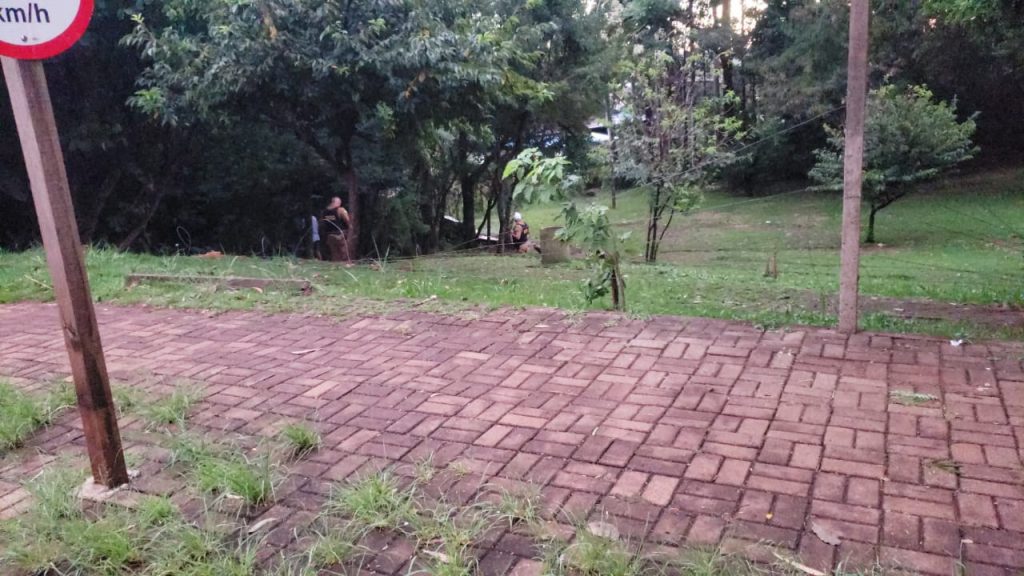 Condutor tenta fugir após acidente, mas é detido em meio à mata