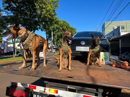 Veículo roubado em Cascavel por falsos Oficiais de Justiça é recuperado pela PM