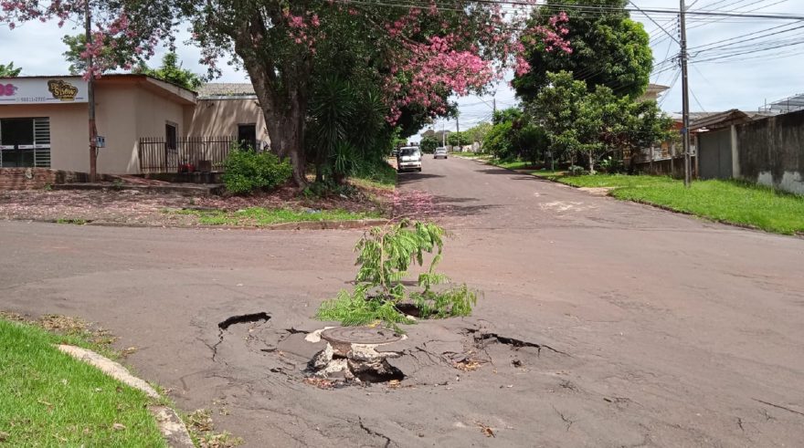 Buracos na Rua São Luís são sinalizados com galhos