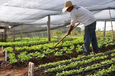 Novo Conselho de Desenvolvimento Rural visa aliar eficiência no empreendimento e qualidade de vida no campo