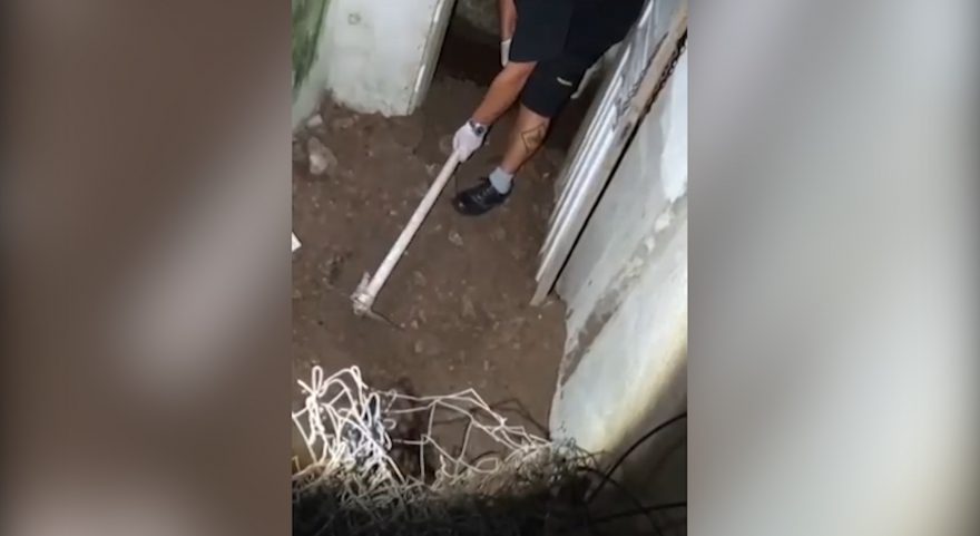 Vídeo mostra momento em que polícia encontra corpo enterrado em quintal de casa