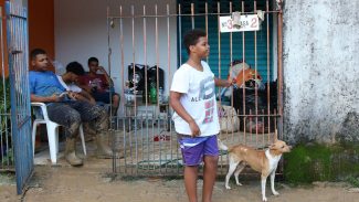Famílias desabrigadas de São Sebastião são encaminhadas para hotéis