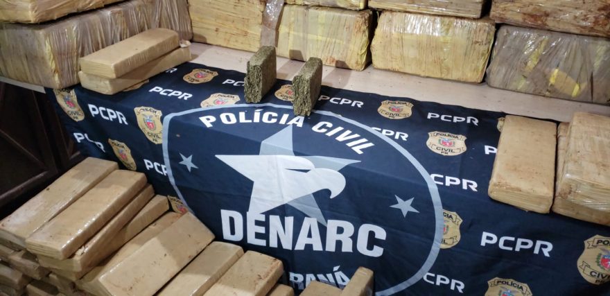 Denarc apreende mais de uma tonelada de maconha na BR-369