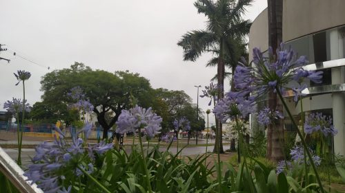 Clima instável promete chuva em Cascavel neste sábado