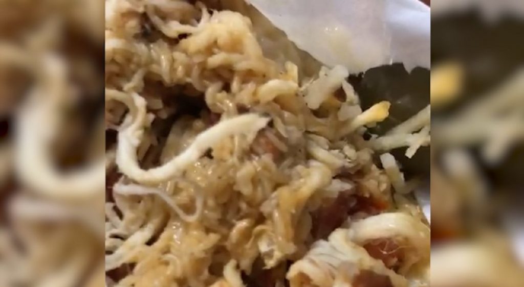 Lanche repleto de larvas é servido em universidade de Cascavel; cantina diz que vai cancelar contrato com fornecedor