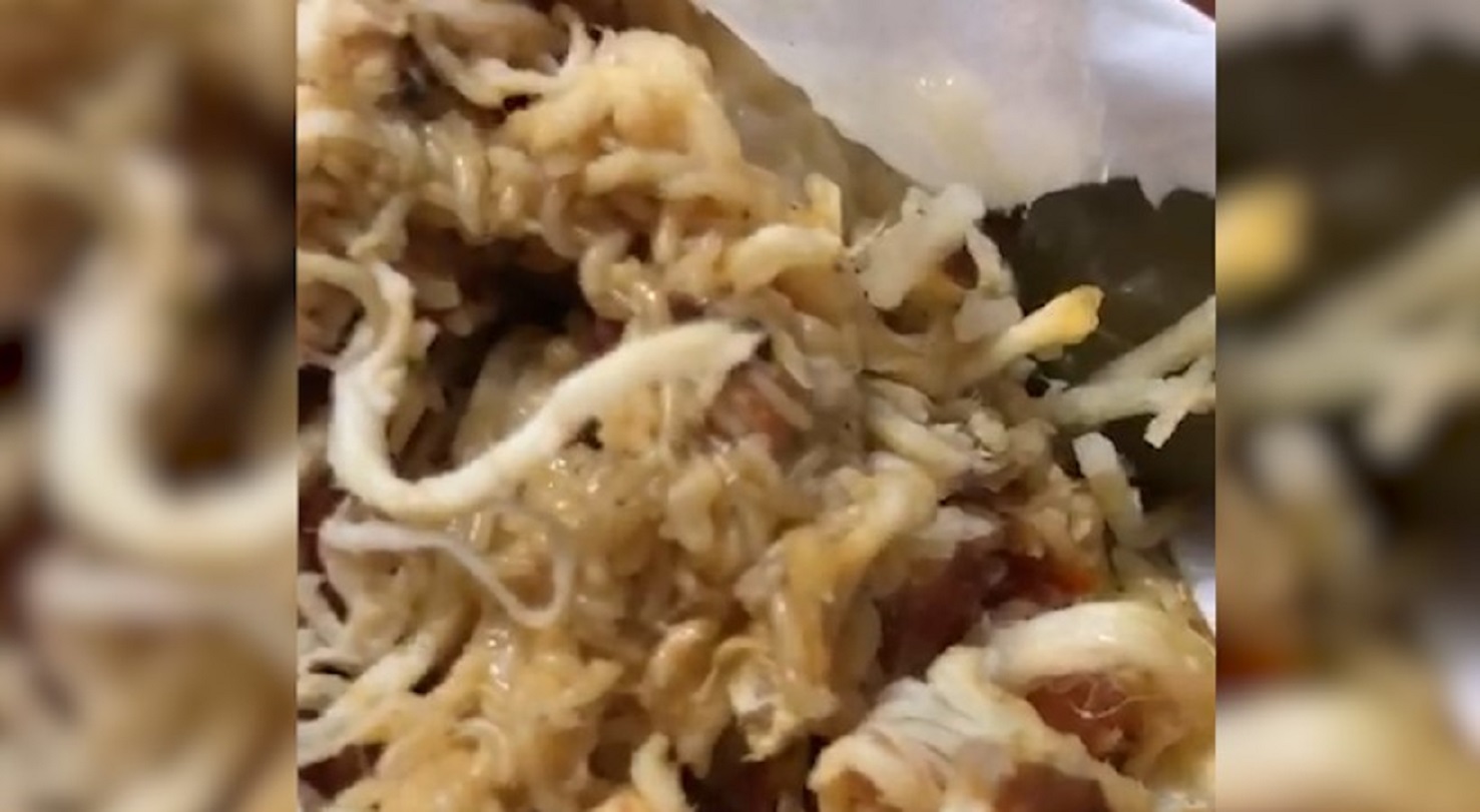 Lanche repleto de larvas é servido em universidade de Cascavel; cantina diz que vai cancelar contrato com fornecedor