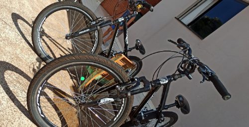Câmera de segurança registra furto de bicicleta no Bairro Periolo