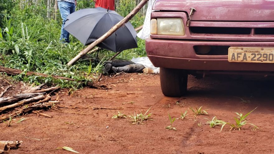 Trabalhador morre após ser atingido por árvore