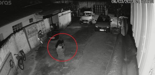 Imagens flagram assalto a mão armada em comércio no bairro Floresta