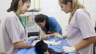 Paraná tem a menor diferença salarial entre homens e mulheres na região Sul