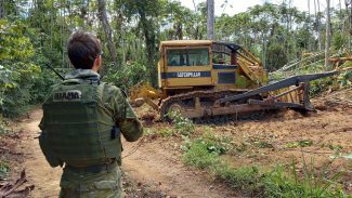 Ibama e PRF desmontam mais de 190 acampamentos na TI Yanomami