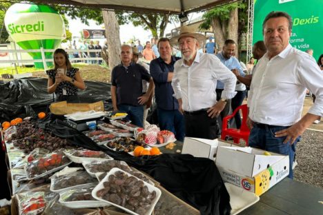 Estado quer fortalecer ações para movimentar o turismo rural no Paraná Imagem referente a Estado quer fortalecer ações para movimentar o turismo rural no Paraná