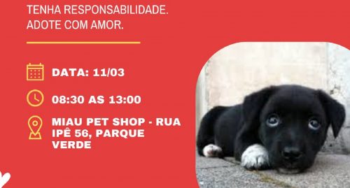 Feira de adoção acontece neste sábado (11)