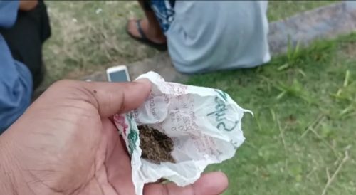 Indivíduos em posse de maconha são encaminhados à 15ª SDP