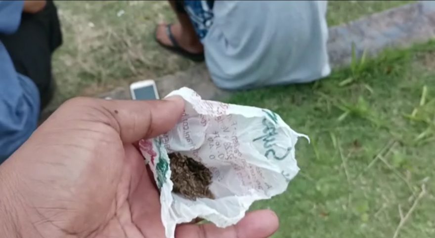 Indivíduos em posse de maconha são encaminhados à 15ª SDP