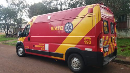 Homem mordido por Chow-chow é socorrido pelo Siate