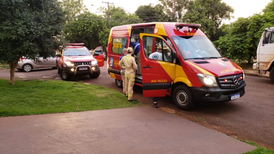 Cachorro morde pescoço de criança e Corpo de Bombeiros é mobilizado