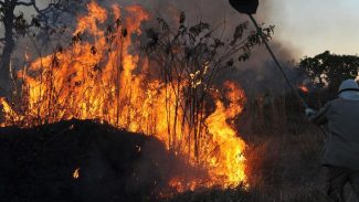 Amazônia concentra 90% da área com focos de incêndio no 1º bimestre