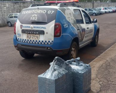 GM apreende carga de cigarros durante fiscalização na Rodoviária